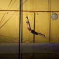 trapeze large