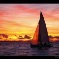 Sailboat Romeo Koitmäe